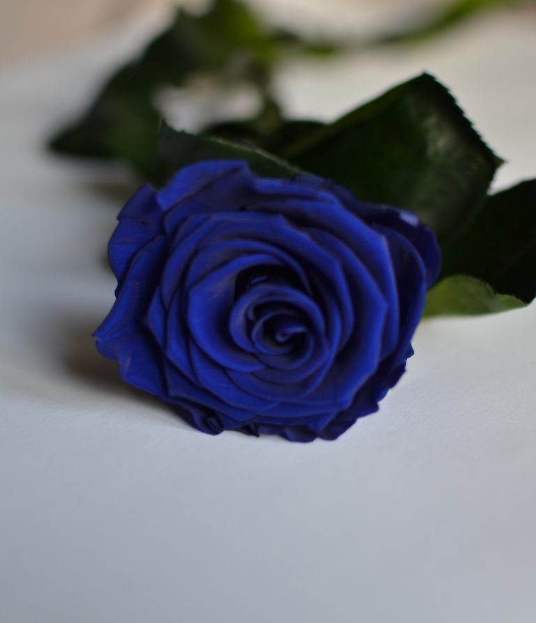 Tallos Real Touch Flores Toque Natural Rústico Azul Rosa España |  batdongsanninhthuan.com.vn
